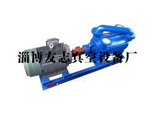 專業解析 淄博SK水環真空泵的批發價格與廠家供應